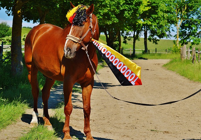 突破能力及 突破能力及