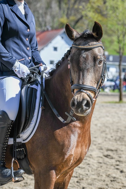 提升联赛水 提升联赛水