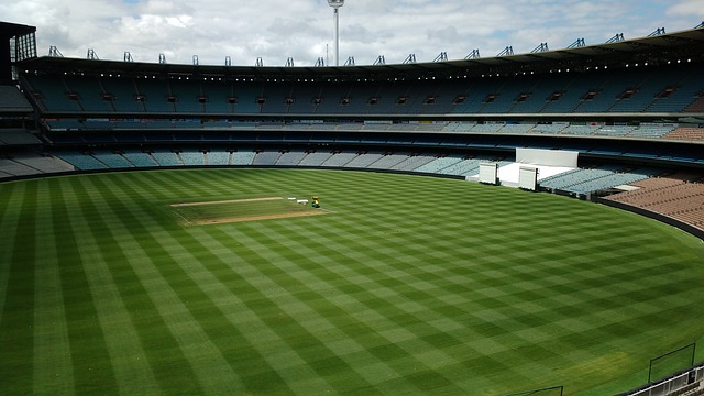 比赛的胜利 比赛的胜利