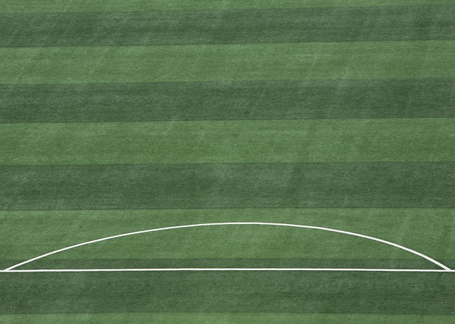 也让球迷和 也让球迷和