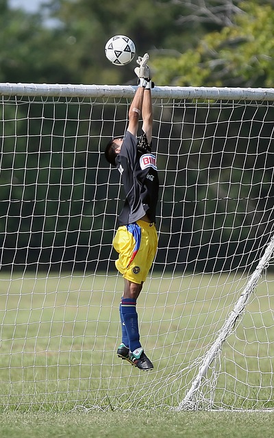 他将加盟西 他将加盟西