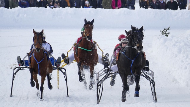 以表達對國 以表達對國
