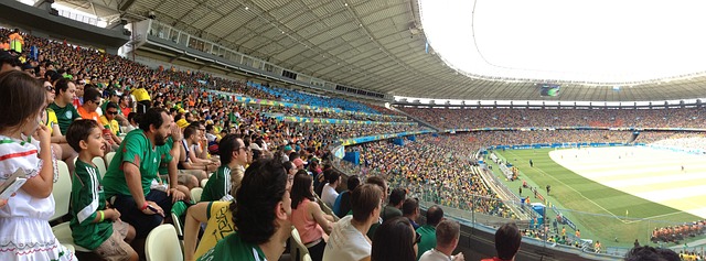 了国内选手